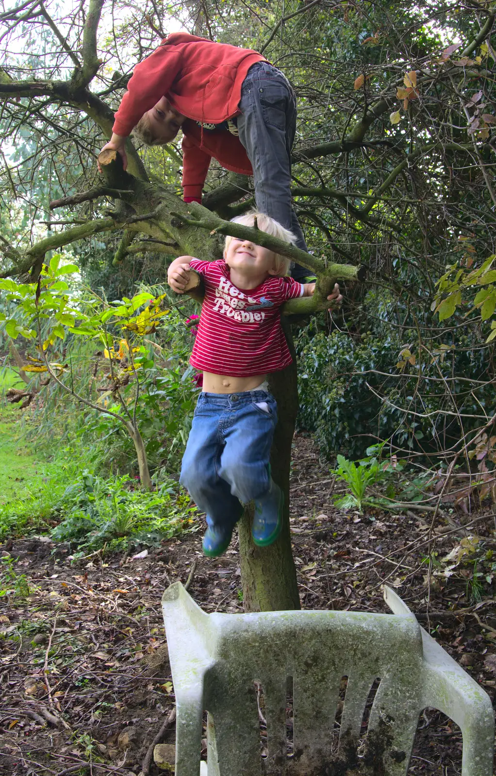 Harry hangs out of a tree, from A Walk on Wortham Ling, Diss, Norfolk - 30th October 2014