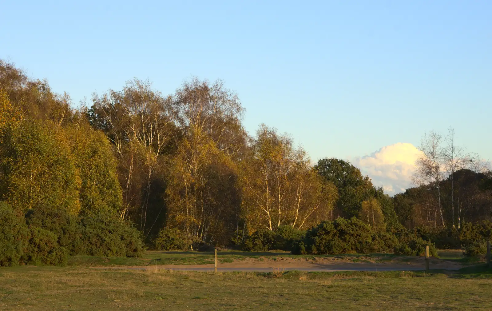 An autumnal Wortham Ling, from A Halloween Party at the Village Hall, Brome, Suffolk - 31st October 2014