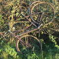 There's a discarded bicycle in a hedge, A Halloween Party at the Village Hall, Brome, Suffolk - 31st October 2014