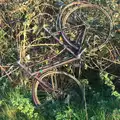 There's a discarded bicycle in a hedge, A Halloween Party at the Village Hall, Brome, Suffolk - 31st October 2014