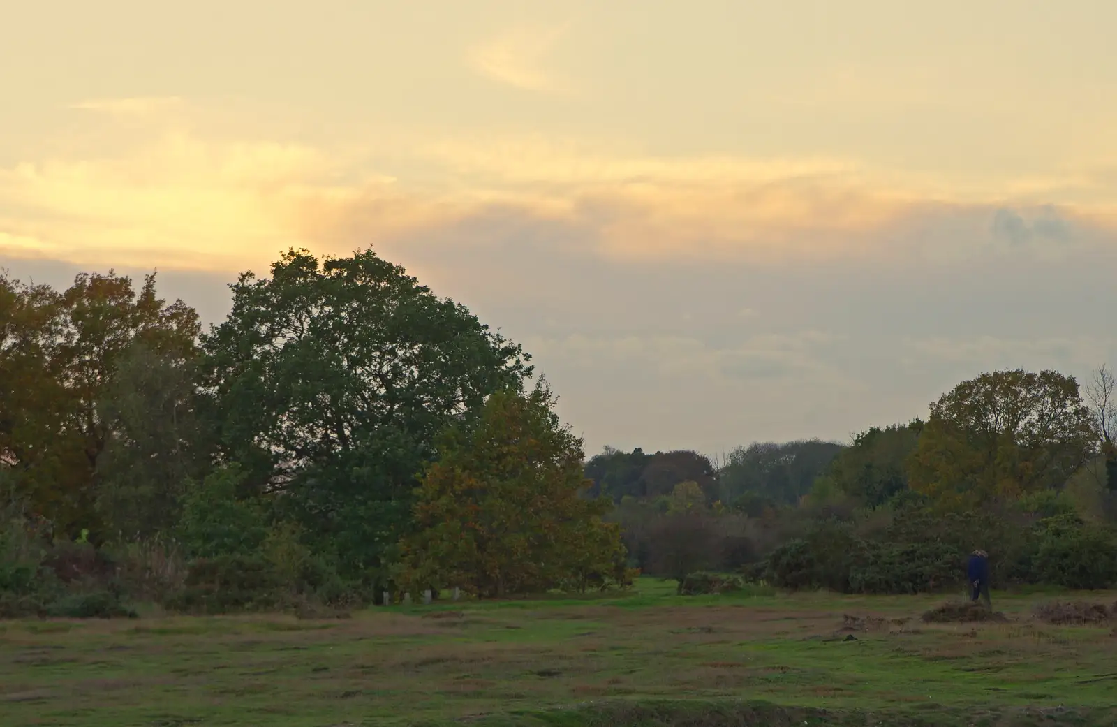 Evening on Wortham Ling, from A Halloween Party at the Village Hall, Brome, Suffolk - 31st October 2014