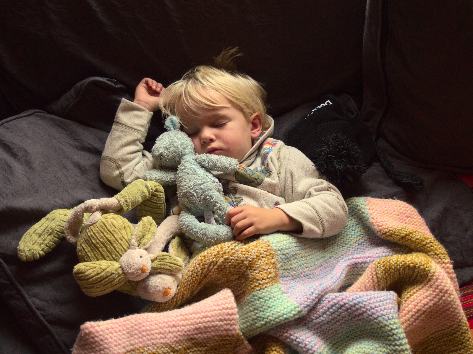 Harry has a sleep in his nest from A Saturday in Town, Diss, Norfolk - 8th November 2014