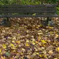 A bench floats in a sea of autumn leaves, A Remembrance Sunday Parade, Eye, Suffolk - 9th November 2014