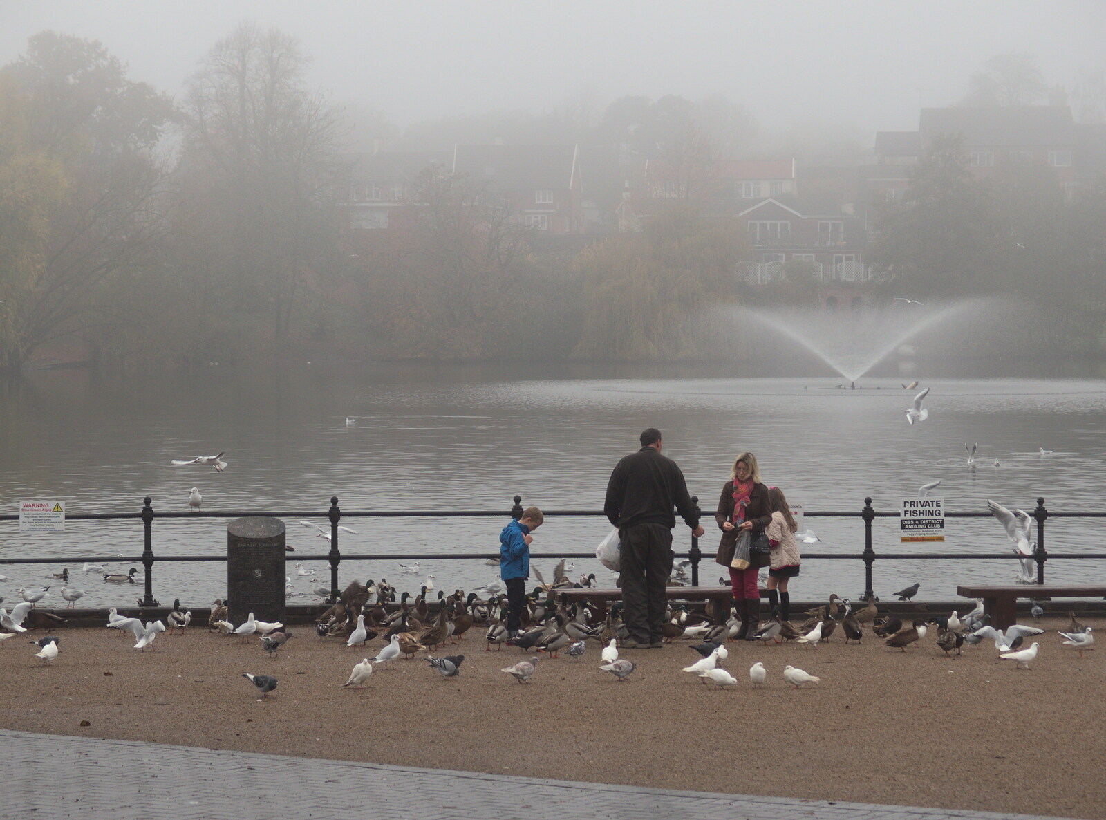 It's a misty day down at The Mere in Diss from November Singing, Gislingham Primary School, Suffolk - 17th November 2014