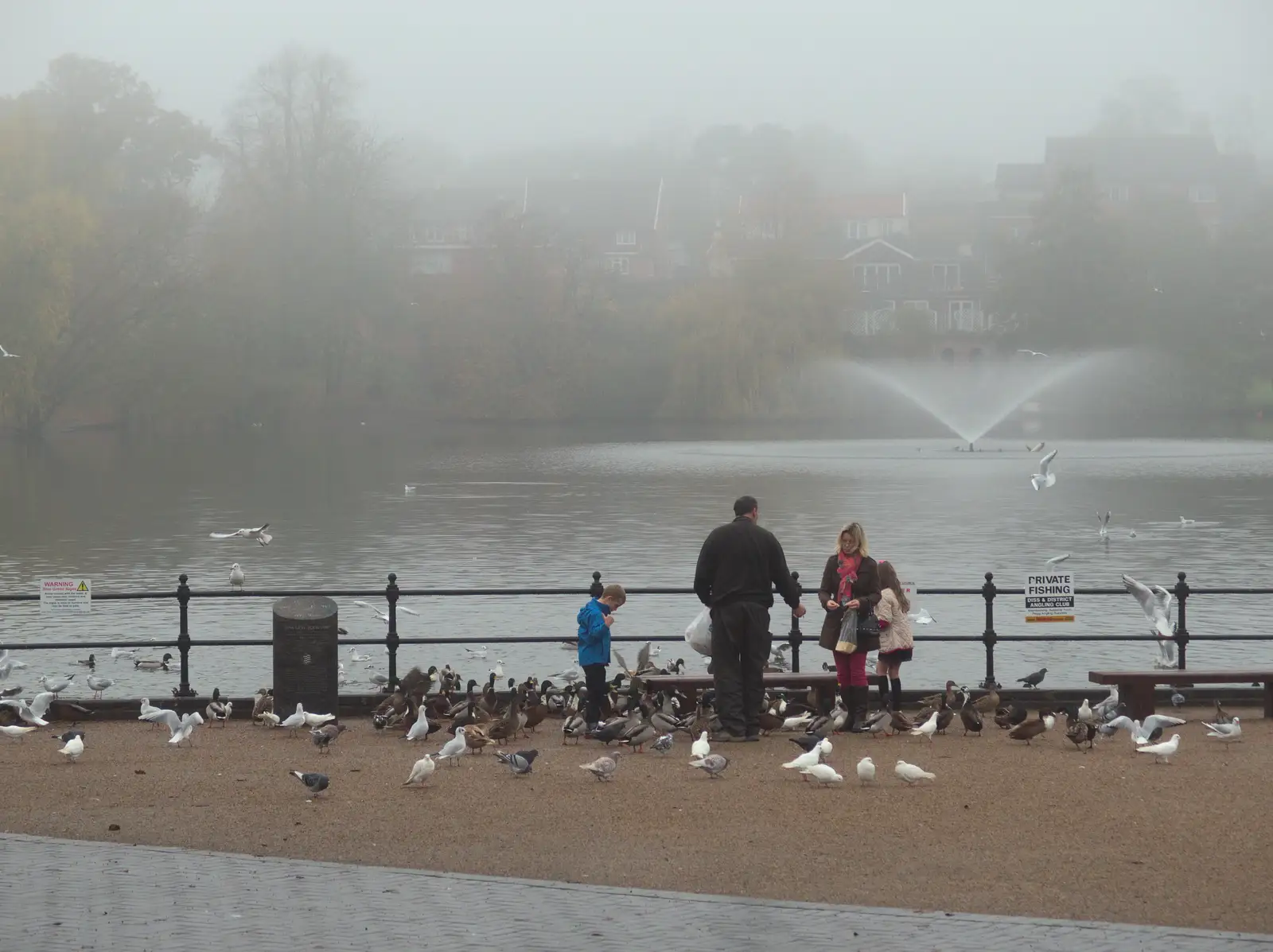 It's a misty day down at The Mere in Diss, from November Singing, Gislingham Primary School, Suffolk - 17th November 2014