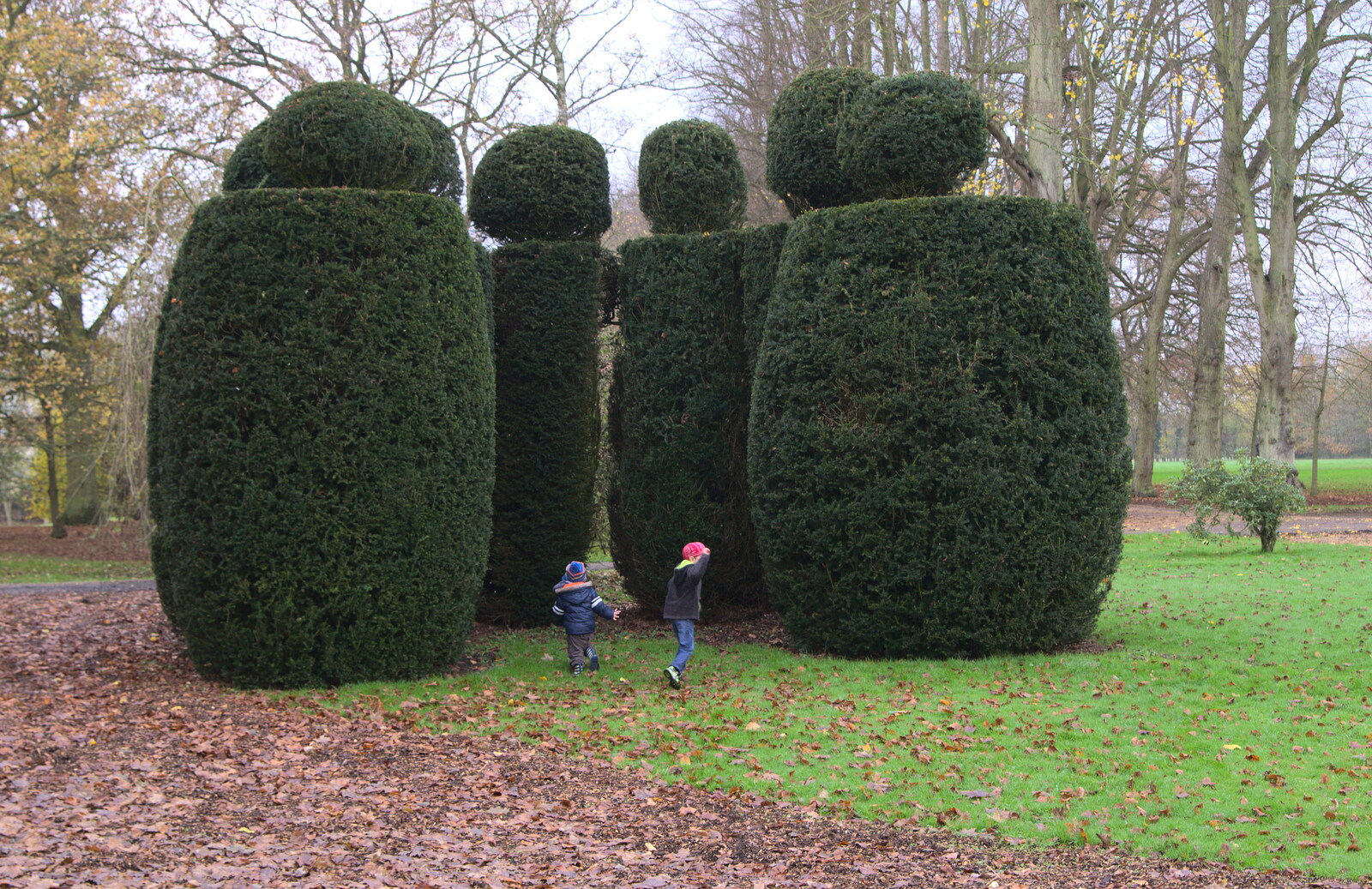 The boys run around the topiary from The Lorry-Eating Pavement of Diss, Norfolk - 3rd December
