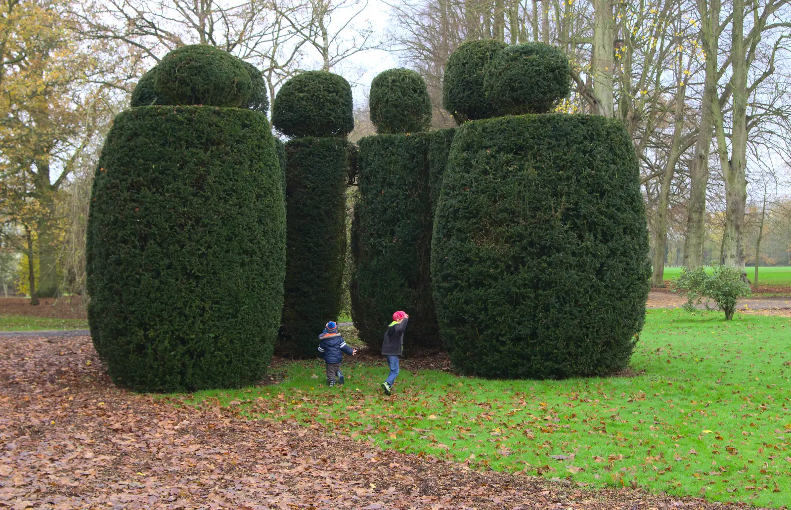 The boys run around the topiary, from The Lorry-Eating Pavement of Diss, Norfolk - 3rd December