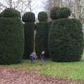 The boys run around the topiary, The Lorry-Eating Pavement of Diss, Norfolk - 3rd December
