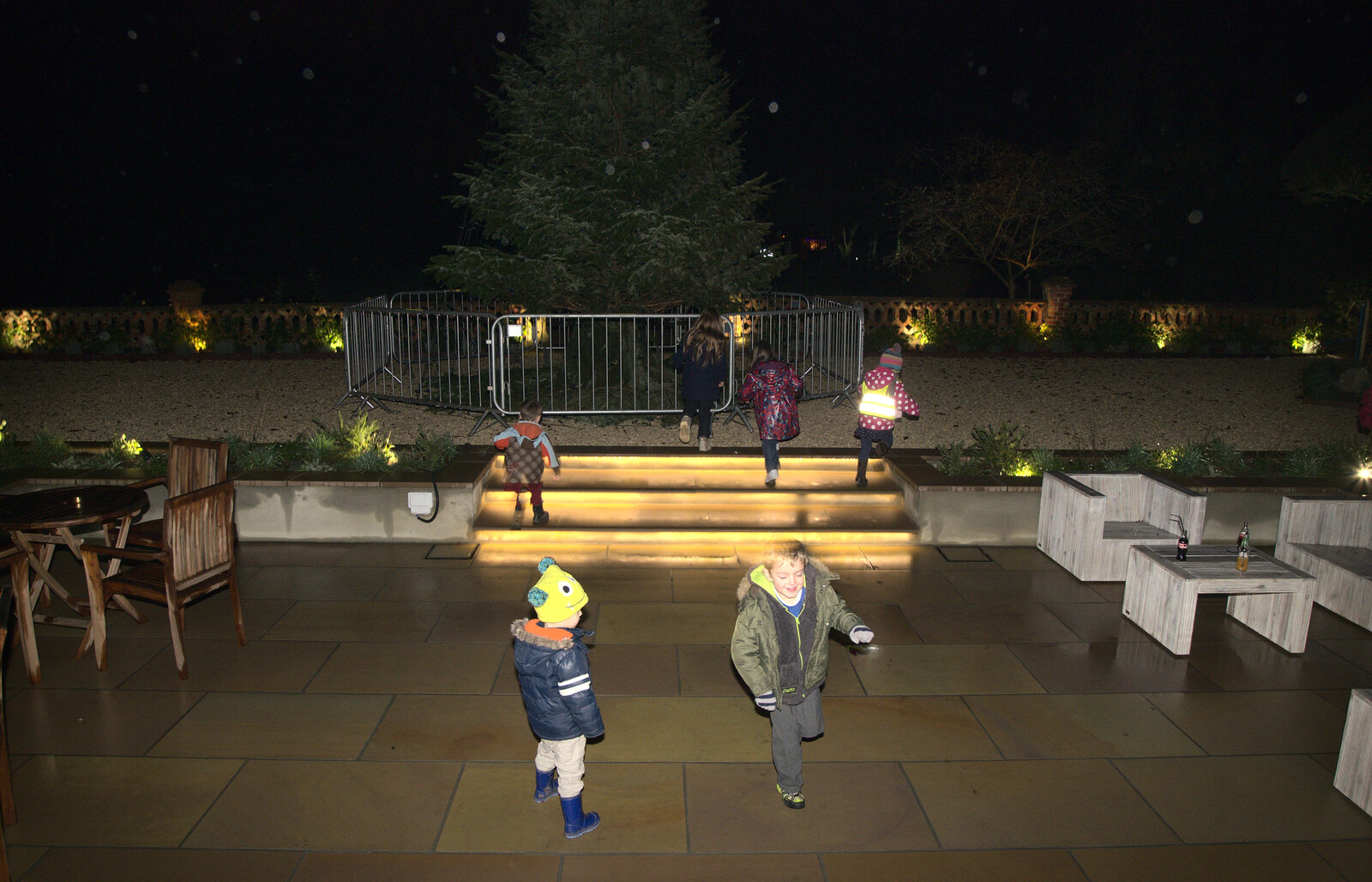 Harry and Fred run around from Rick Wakeman, Ian Lavender and the Christmas lights, The Oaksmere, Suffolk - 4th December 2014