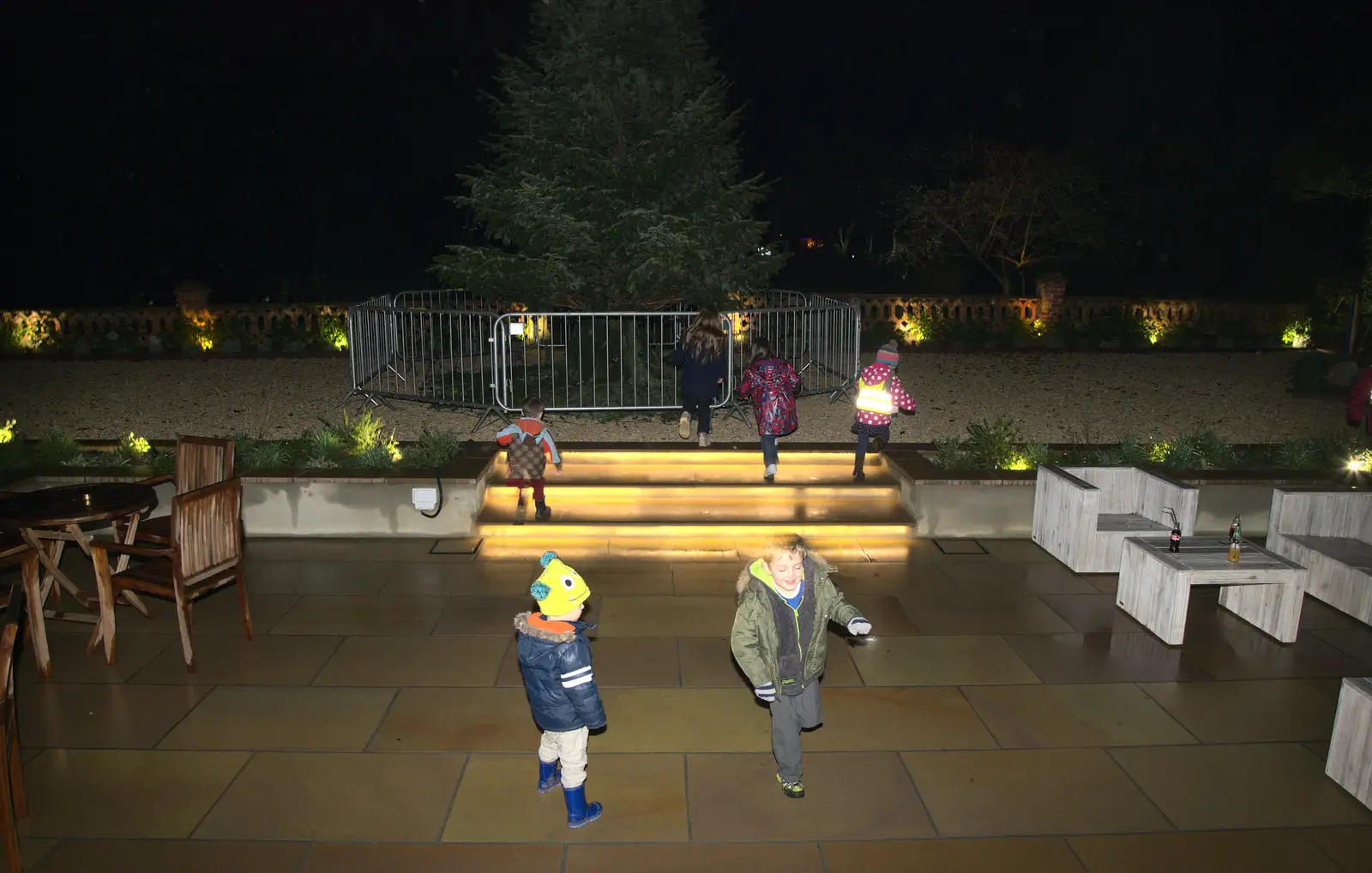 Harry and Fred run around, from Rick Wakeman, Ian Lavender and the Christmas lights, The Oaksmere, Suffolk - 4th December 2014