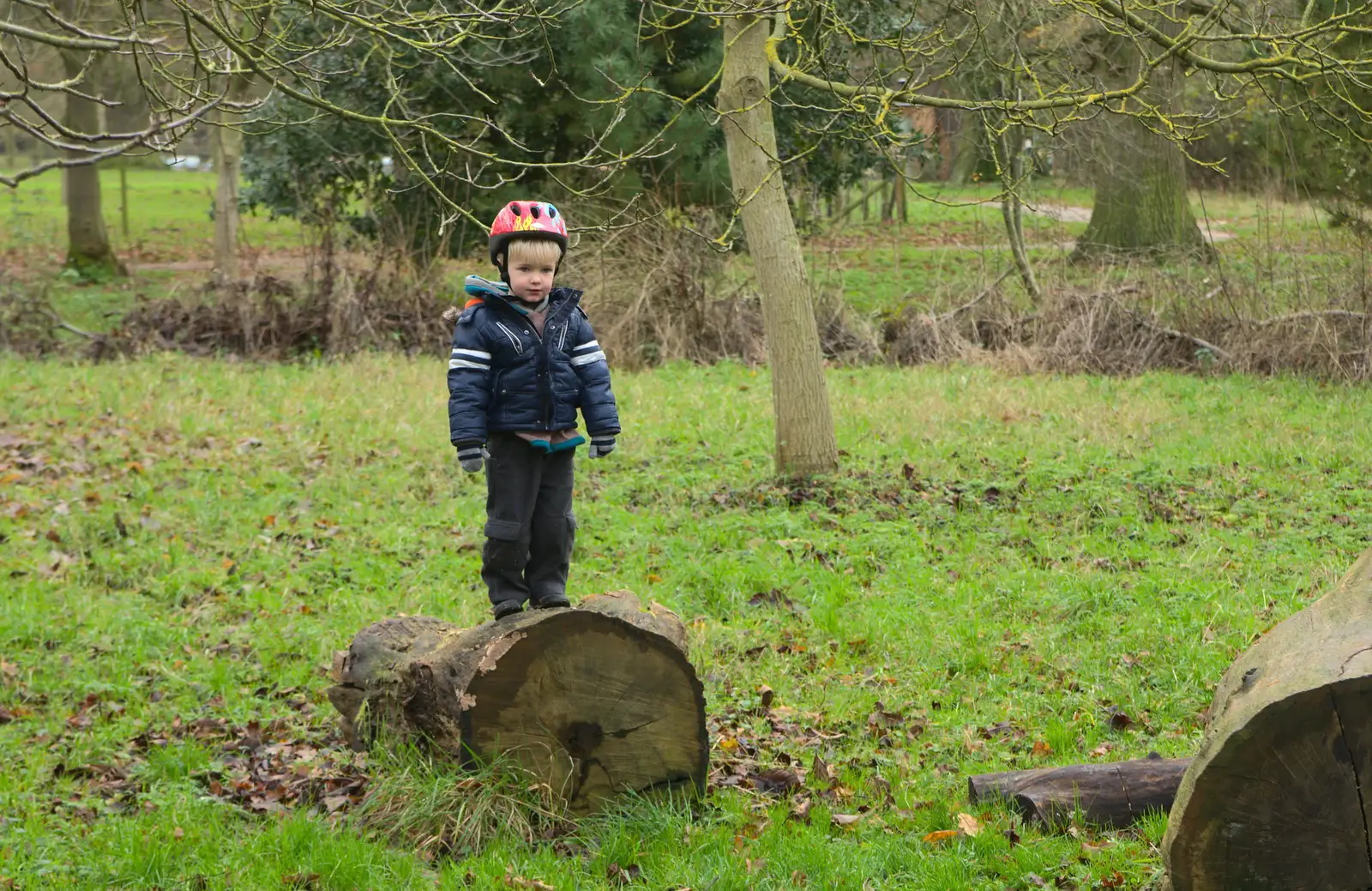 Harry stands on a log, from Cameraphone Randomness and a Thornham Walk, Suffolk - 14th December 2014