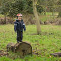 Harry stands on a log, Cameraphone Randomness and a Thornham Walk, Suffolk - 14th December 2014