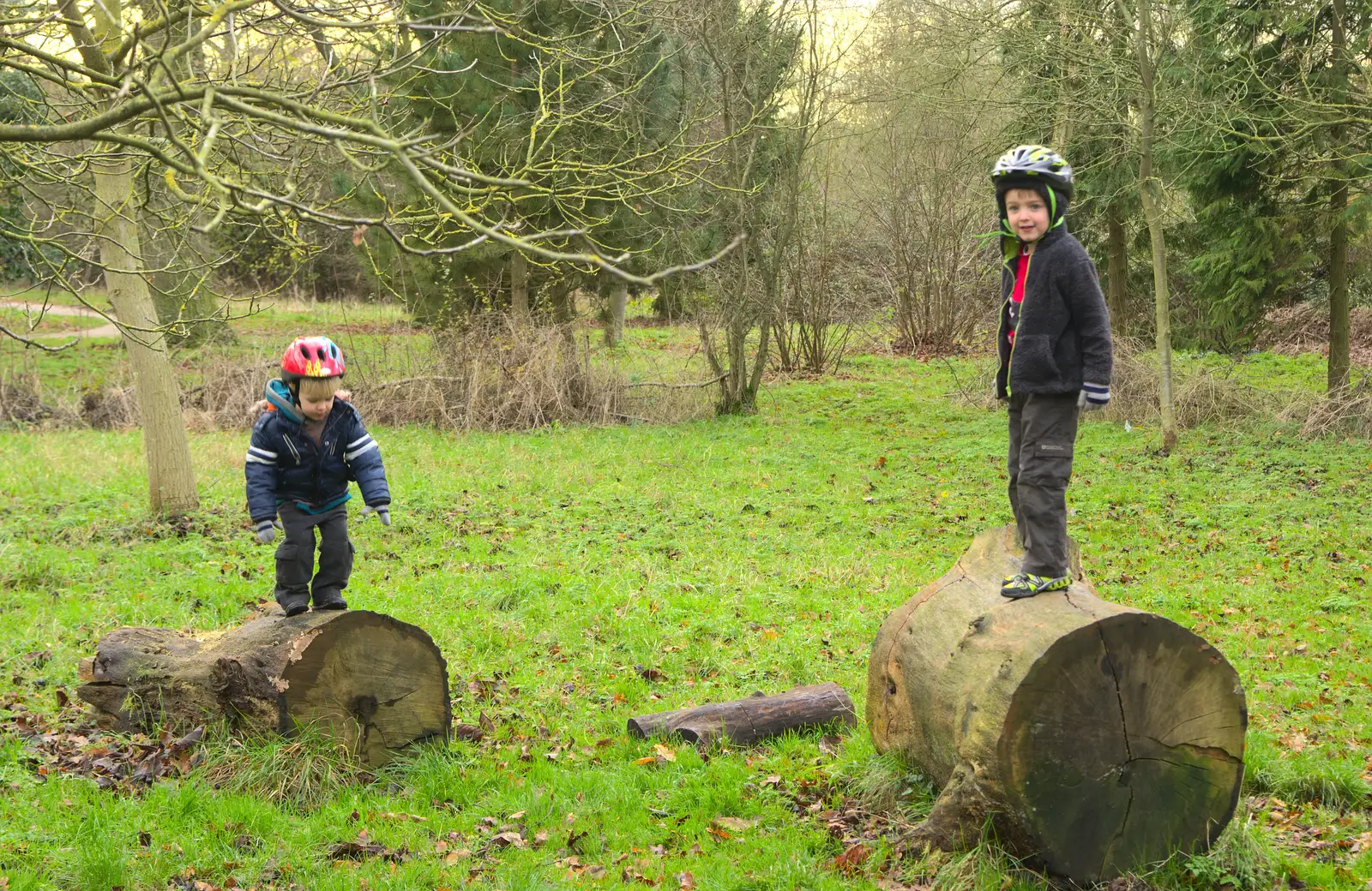 Harry and Fred on logs, from Cameraphone Randomness and a Thornham Walk, Suffolk - 14th December 2014