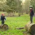 Harry and Fred on logs, Cameraphone Randomness and a Thornham Walk, Suffolk - 14th December 2014