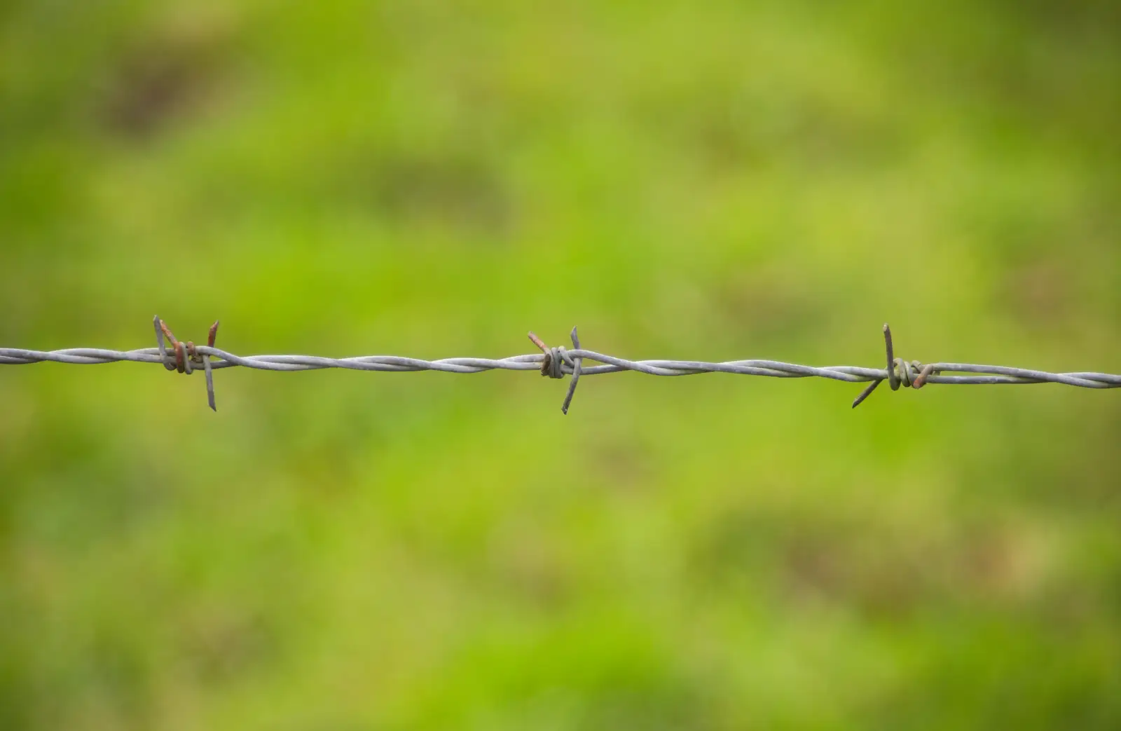 A bouquet of barbed wire, from Cameraphone Randomness and a Thornham Walk, Suffolk - 14th December 2014