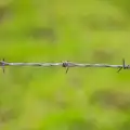 A bouquet of barbed wire, Cameraphone Randomness and a Thornham Walk, Suffolk - 14th December 2014