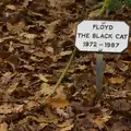 The grave of Floyd the Black Cat, Cameraphone Randomness and a Thornham Walk, Suffolk - 14th December 2014