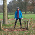 Isobel on a swinging plank, Cameraphone Randomness and a Thornham Walk, Suffolk - 14th December 2014