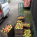 The apple harvest is dropped off at Trevor's place, Cameraphone Randomness and a Thornham Walk, Suffolk - 14th December 2014