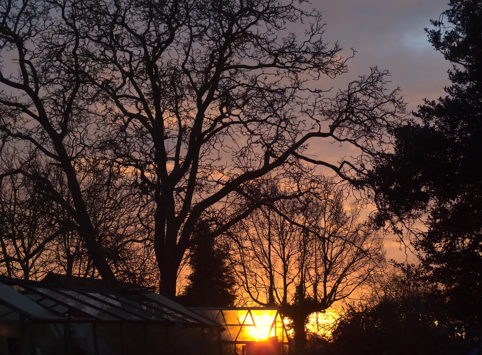 The sun rises through the greenhouse, from SwiftKey Innovation Nights, Westminster, London - 19th December 2014