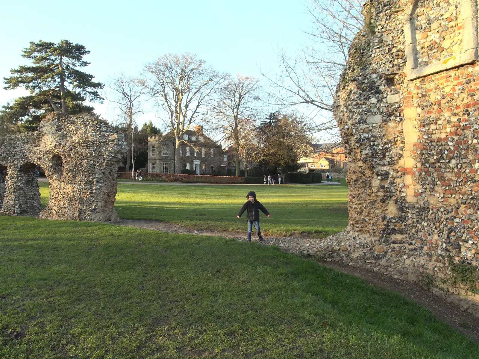 Fred roams around the ruins, from A Trip to Abbey Gardens, Bury St. Edmunds, Suffolk - 20th December 2014