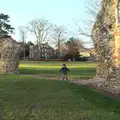 Fred roams around the ruins, A Trip to Abbey Gardens, Bury St. Edmunds, Suffolk - 20th December 2014