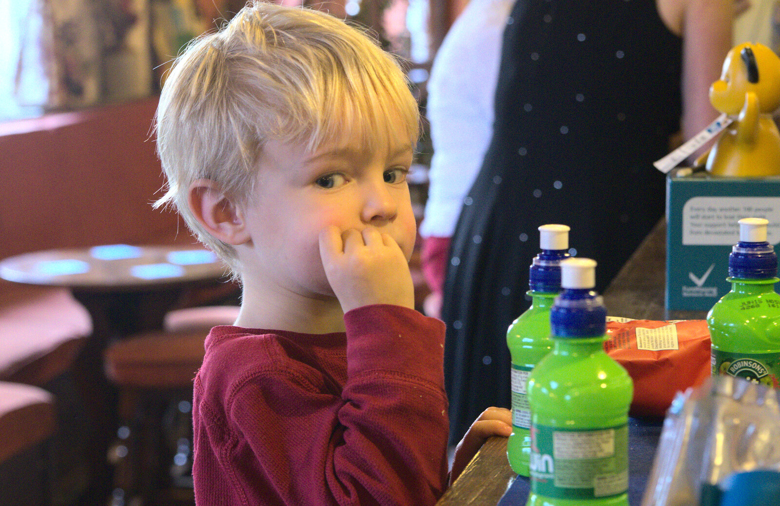 Harry looks shifty from Christmas Day at the Swan Inn, Brome, Suffolk - 25th December 2014