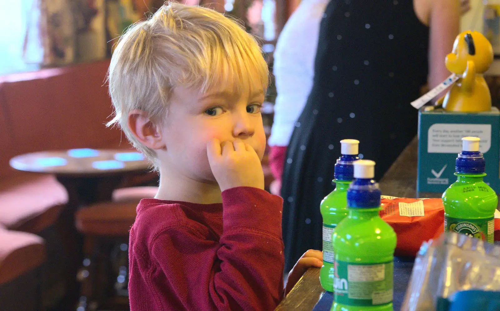 Harry looks shifty, from Christmas Day at the Swan Inn, Brome, Suffolk - 25th December 2014