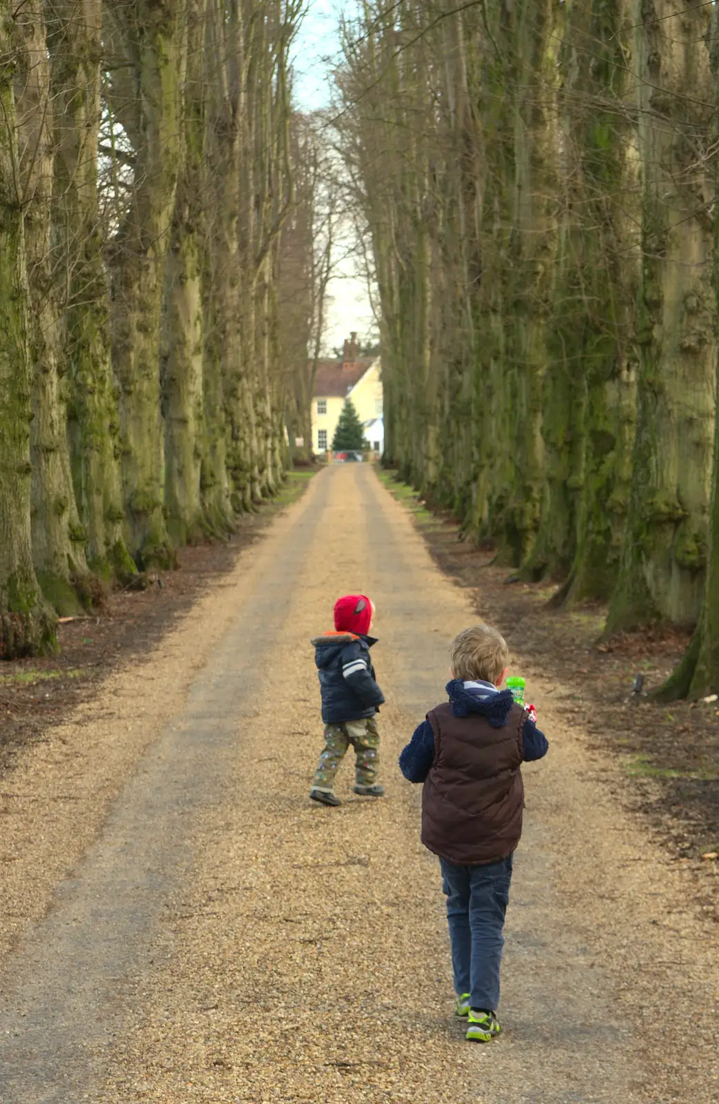 Harry and Fred on the drive, from Christmas Day at the Swan Inn, Brome, Suffolk - 25th December 2014