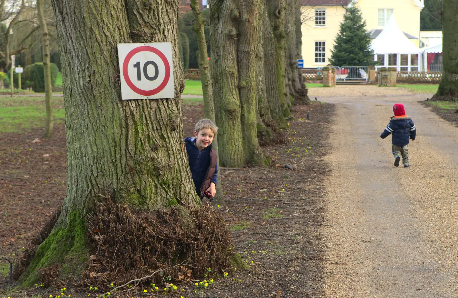 Fred peeks out from behind a tree, from Christmas Day at the Swan Inn, Brome, Suffolk - 25th December 2014