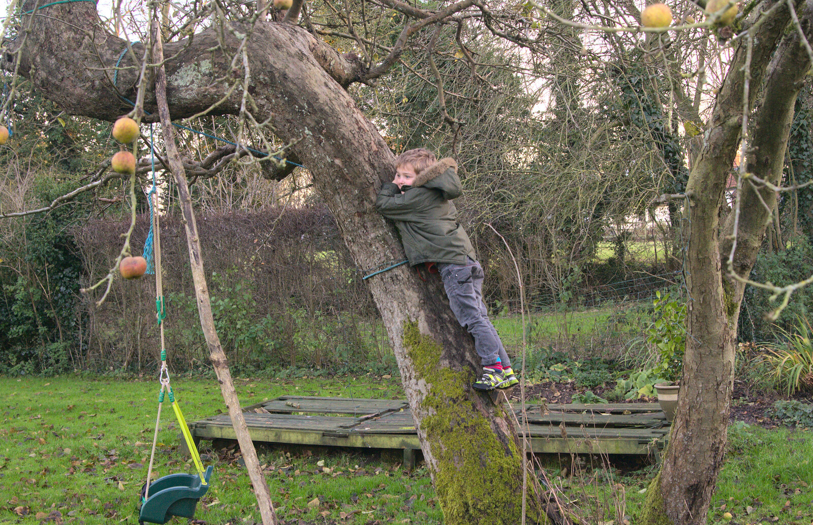 Fred's up a tree from Christmas Day at the Swan Inn, Brome, Suffolk - 25th December 2014
