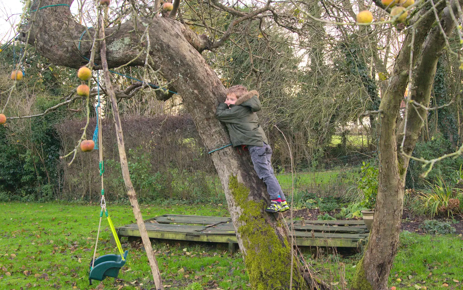 Fred's up a tree, from Christmas Day at the Swan Inn, Brome, Suffolk - 25th December 2014