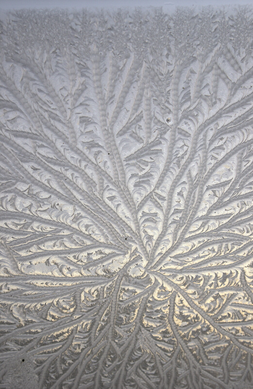 Amazing ice patterns on the office Velux     from A Trip to Norwich, and Beers at The Swan Inn, Brome, Suffolk - 5th January 2015