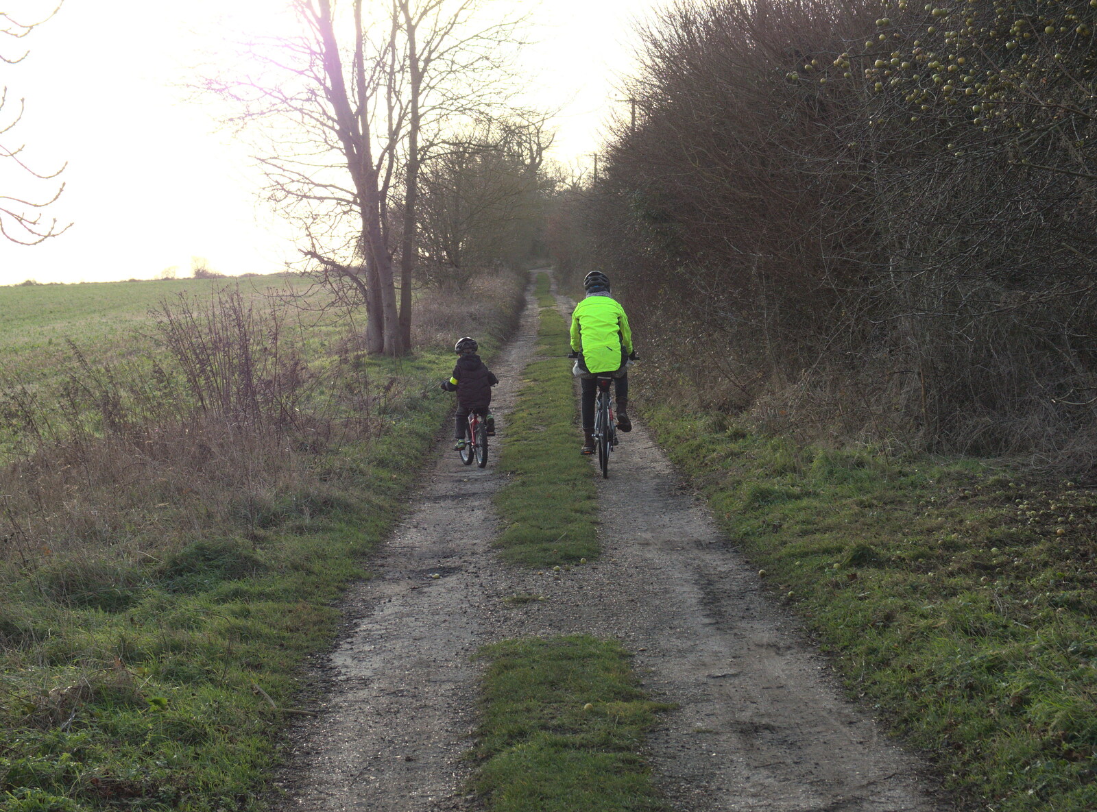 Cycling up The Avenue from The BBs do a Recording, Hethel, Norfolk - 18th January 2015