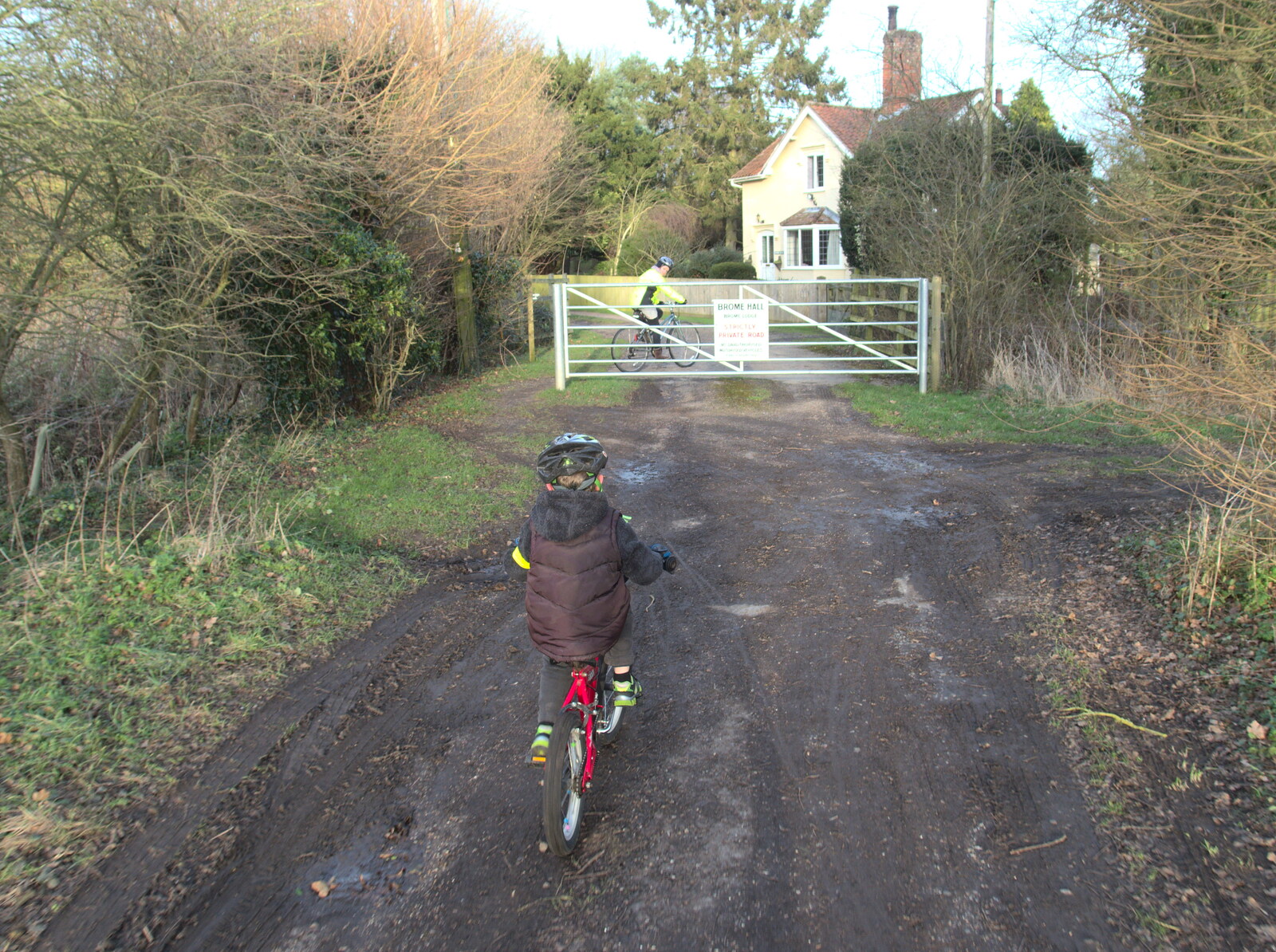 The gate half-way along The Avenue from The BBs do a Recording, Hethel, Norfolk - 18th January 2015