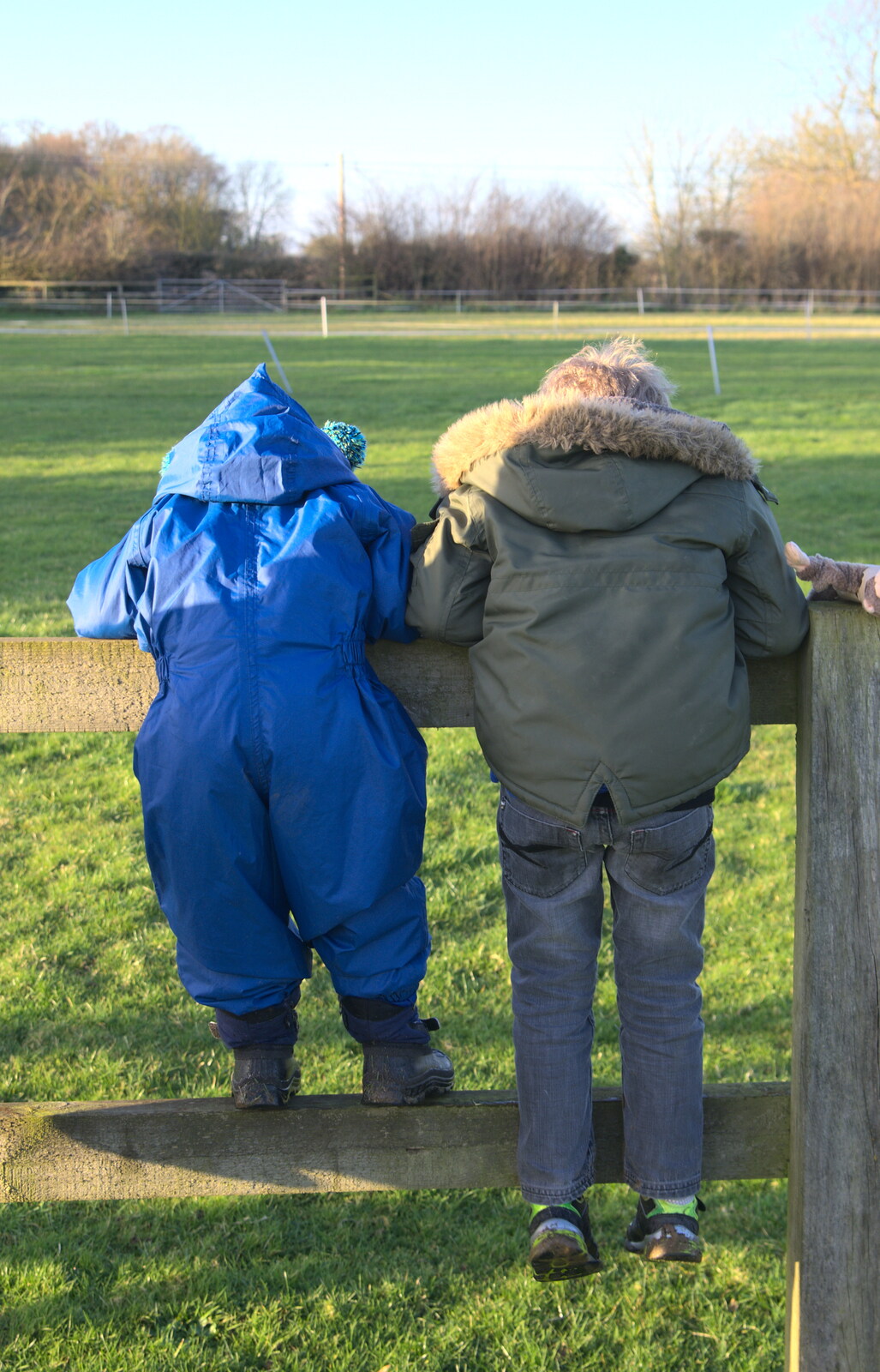 The boys lean over Chinner's fence from The BBs do a Recording, Hethel, Norfolk - 18th January 2015