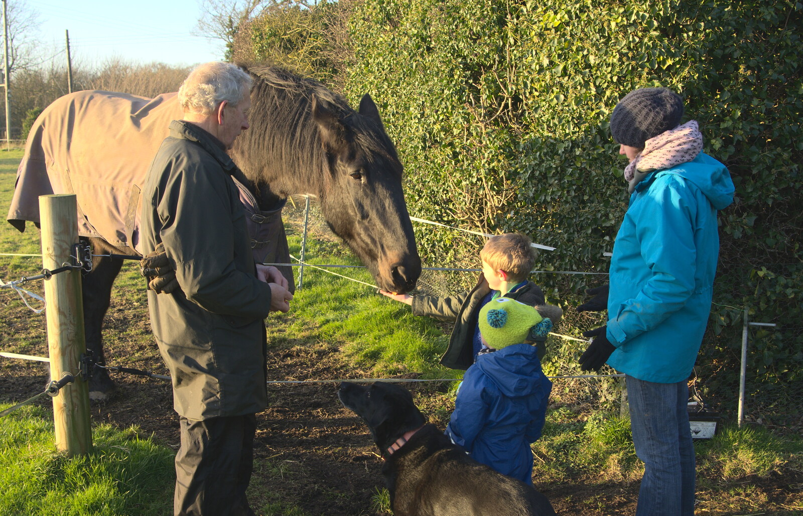Fred feeds Chinner some carrots from The BBs do a Recording, Hethel, Norfolk - 18th January 2015