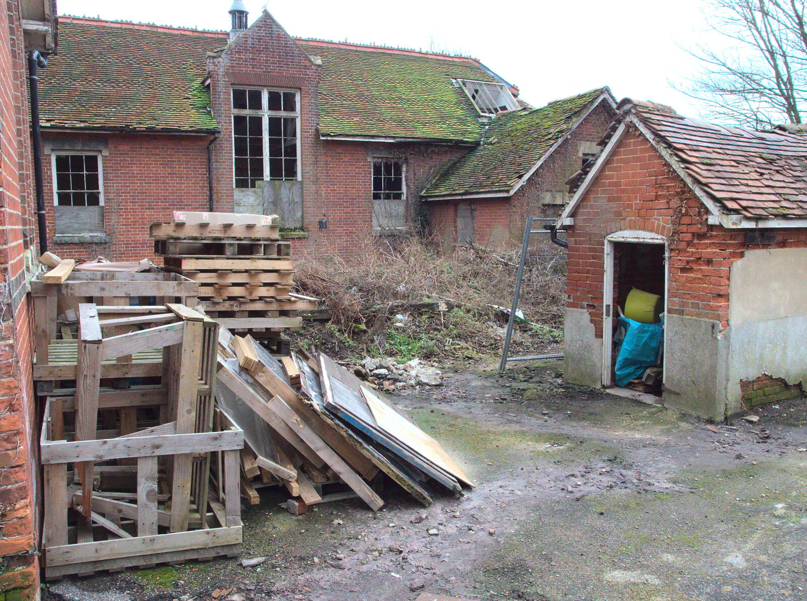 The derelict infants school in Diss from Closing Down: A Late January Miscellany, Diss, Norfolk - 31st January 2015