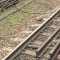 There's some sort of dead animal on the tracks, Fred and the Volcano, Brome, Suffolk - 8th February 2015