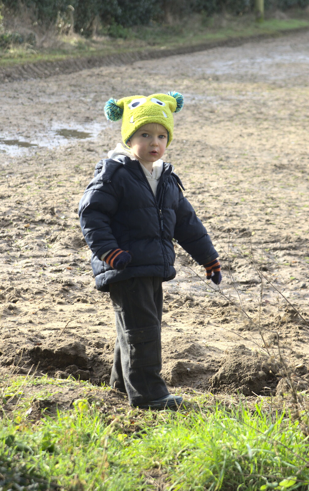 Harry makes a bid for freedom across the side field from Fred and the Volcano, Brome, Suffolk - 8th February 2015