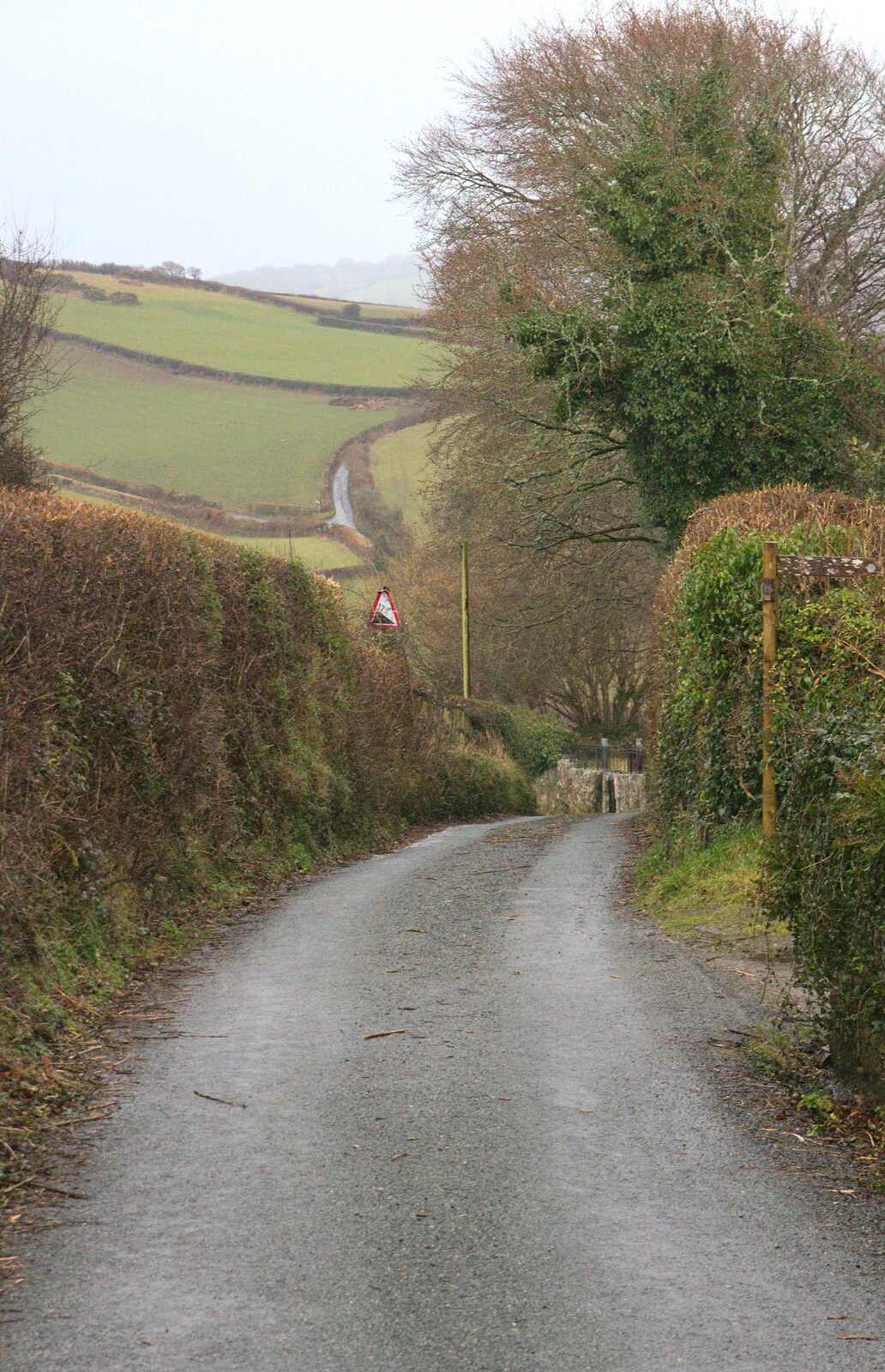 A deep Devon lane from A Trip to Grandma J's, Spreyton, Devon - 18th February 2015