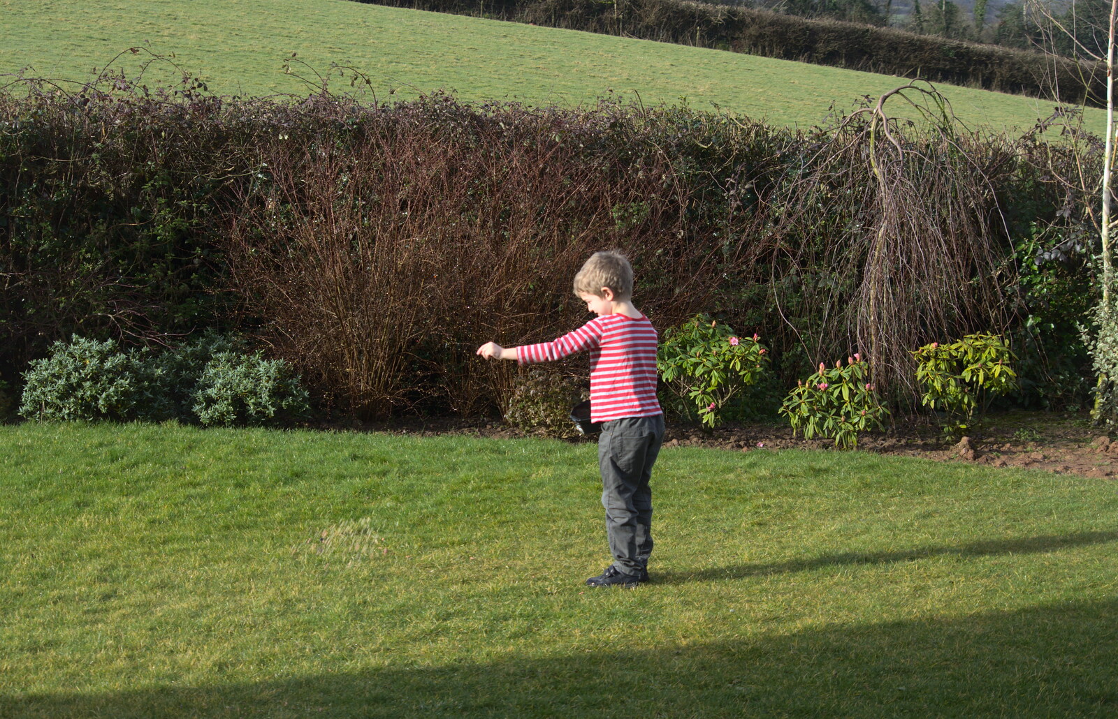Fred flings some bird food around from A Trip to Grandma J's, Spreyton, Devon - 18th February 2015