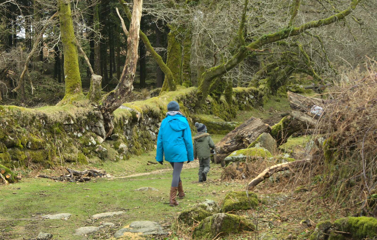 Isobel and Fred on their way up to Sheepstor from A Trip to Grandma J's, Spreyton, Devon - 18th February 2015