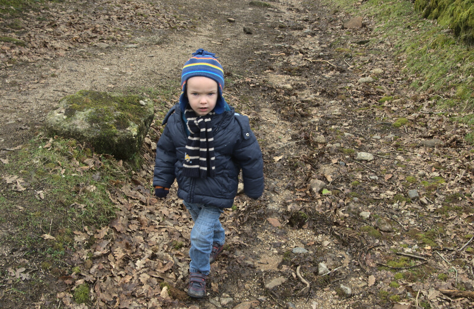 Harry gets his stroll on from A Trip to Grandma J's, Spreyton, Devon - 18th February 2015