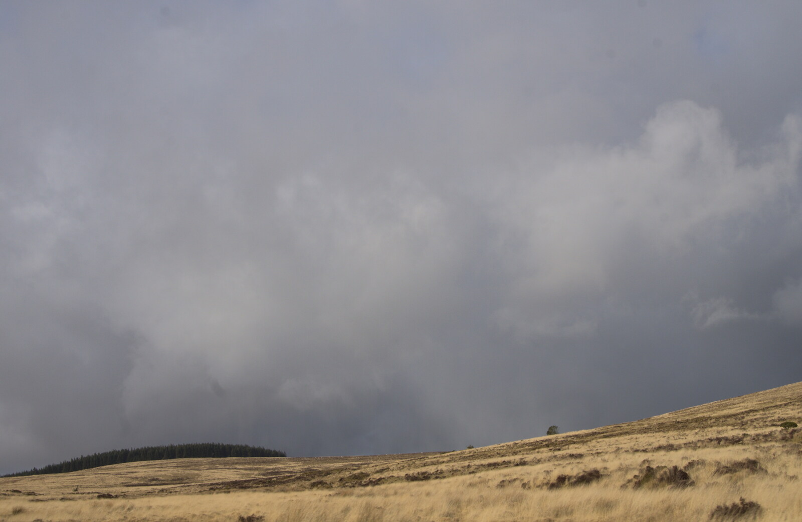 Grey skies move in over Dartmoor from A Trip to Grandma J's, Spreyton, Devon - 18th February 2015