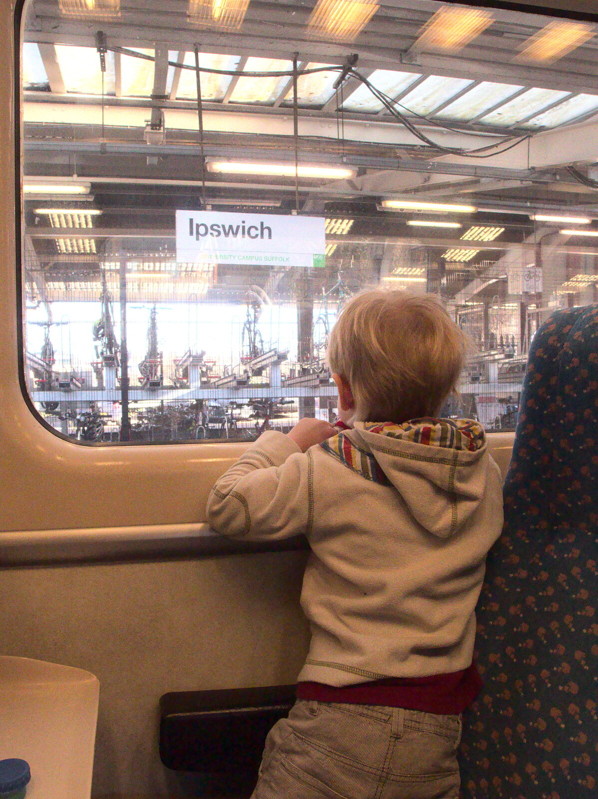 Harry peers out of the window at Ipswich from The Mobile Train Office, Diss to London - 5th March 2015