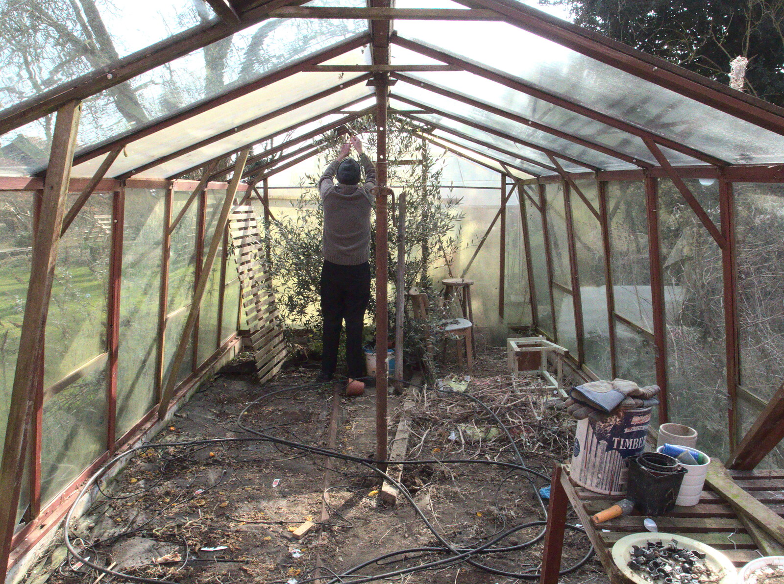 Grandad starts deconstructing the greenhouse from A Crashed Car and Greenhouse Demolition, Brome, Suffolk - 20th March 2015