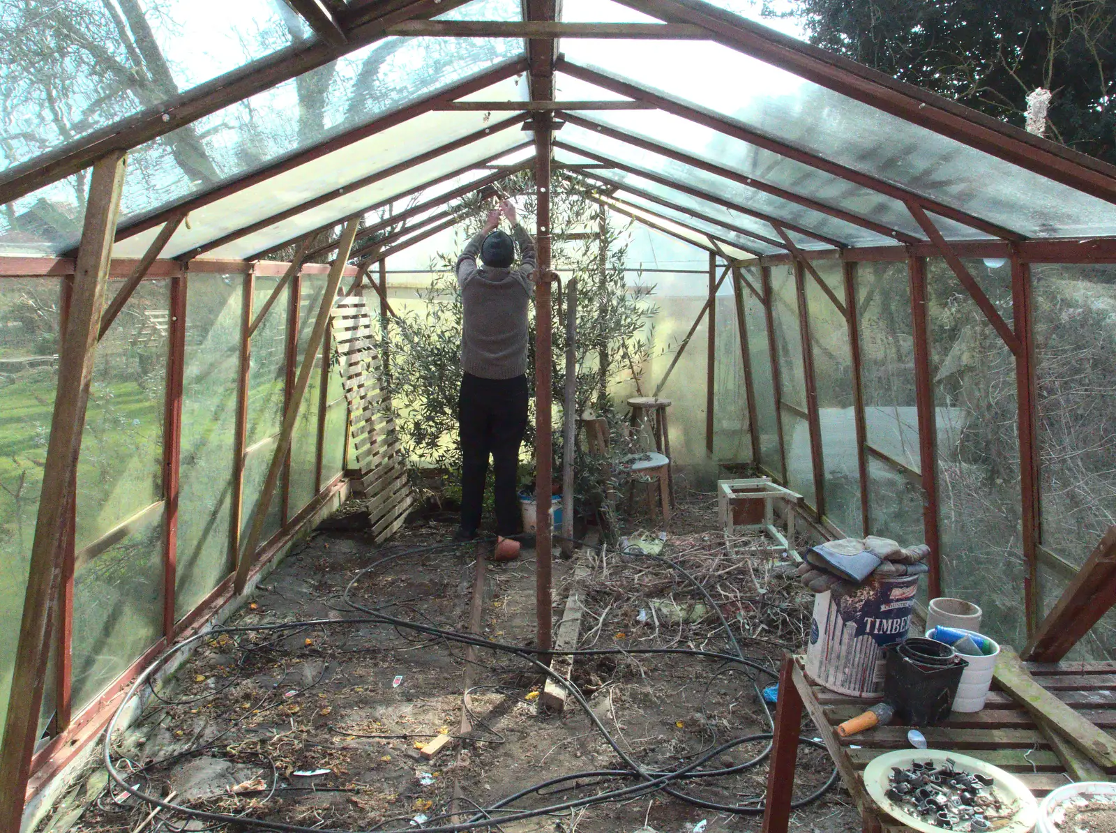 Grandad starts deconstructing the greenhouse, from A Crashed Car and Greenhouse Demolition, Brome, Suffolk - 20th March 2015