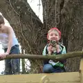 Fred's got Francis the class-mascot Owl, A Crashed Car and Greenhouse Demolition, Brome, Suffolk - 20th March 2015