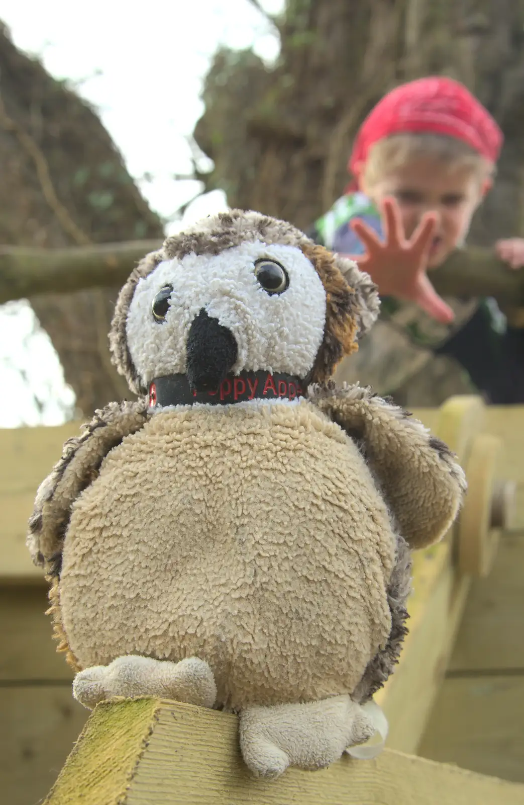 Francis the Owl, from A Crashed Car and Greenhouse Demolition, Brome, Suffolk - 20th March 2015